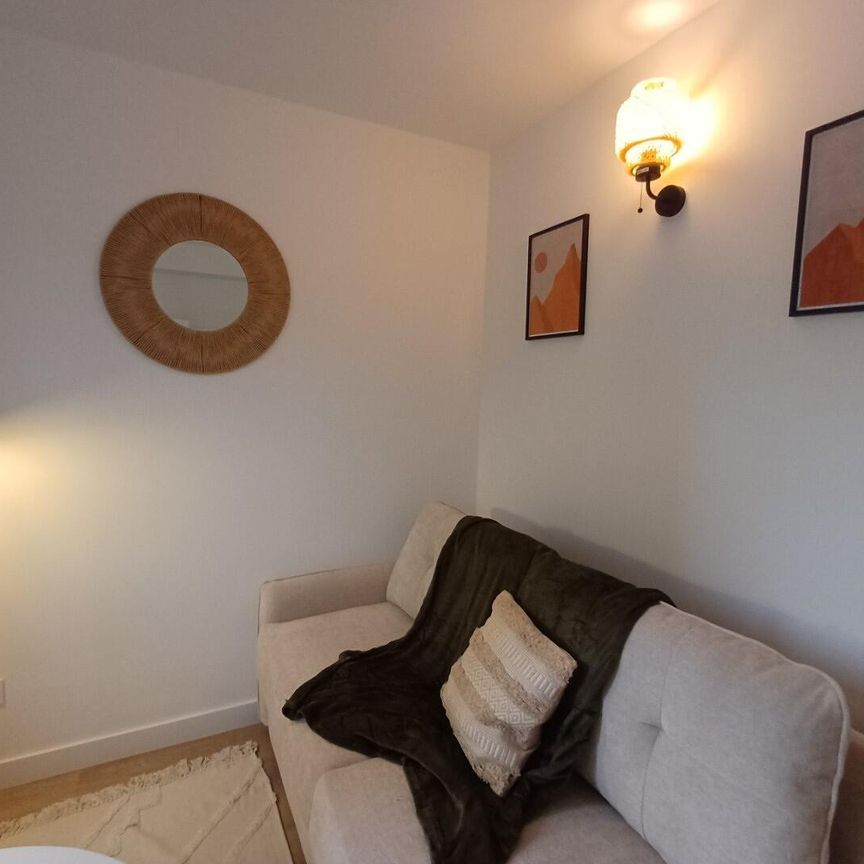 location Appartement T1 DE 15.65m² À TOULOUSE - Photo 1