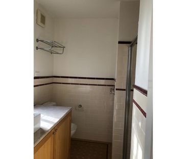 2/117 Forest Road, Arncliffe NSW 2205 - Apartment For Rent | Domain - Photo 4