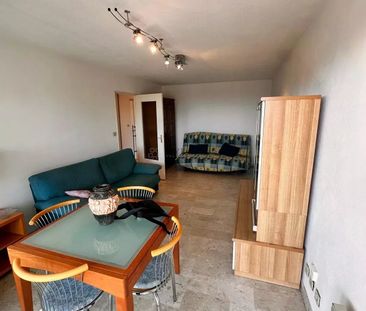 Location Appartement 2 pièces 49m² ANTIBES 06600 - Photo 1