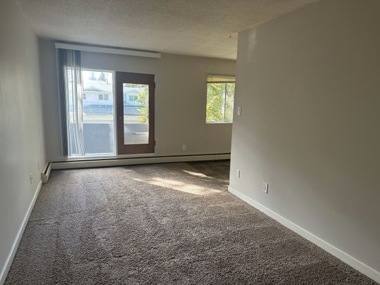 SPACIOUS 2 Bedroom APARTMENT!! GREAT LOCATION Downtown!!! - Photo 1