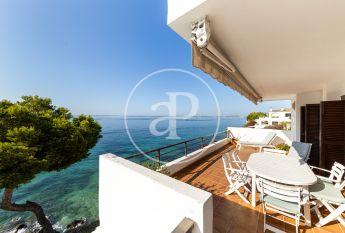 Flat for rent with Terrace in Port d’Alcúdia - Platja d'Alcúdia (Alcúdia)
