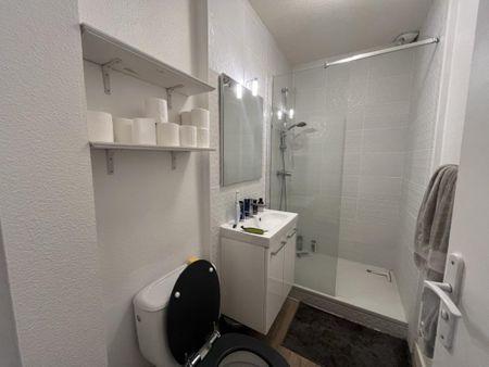 Location Appartement 1 pièce Meublé 24m² BORDEAUX 33000 - Photo 4