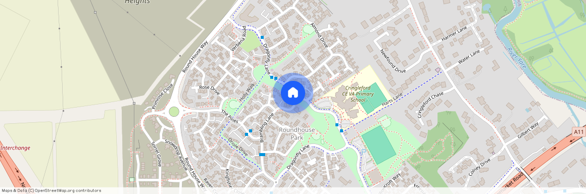 Dragonfly Lane, Cringleford, Norwich, NR4