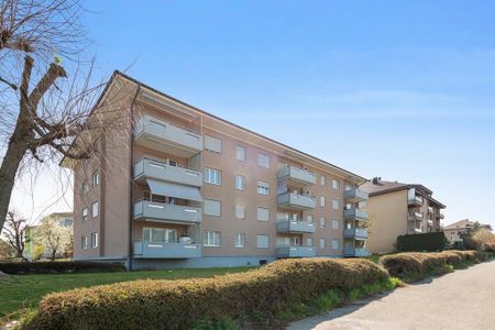 2.5-Zimmer-Wohnung im Hochparterre in Reinach AG - Foto 5