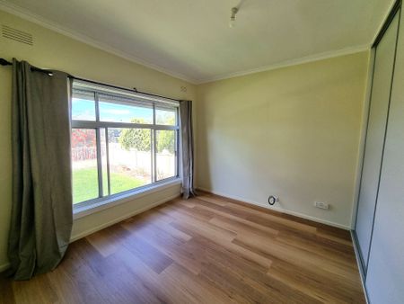 A Fresh New Look! - Photo 4