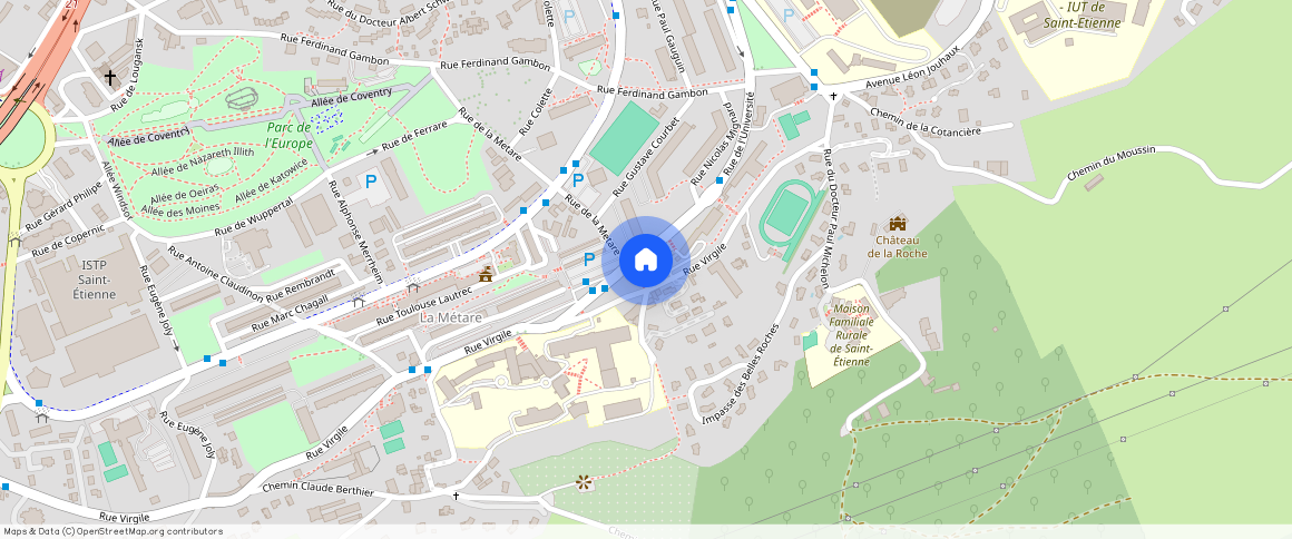 17 RUE DE L'UNIVERSITE, 42000, St Etienne