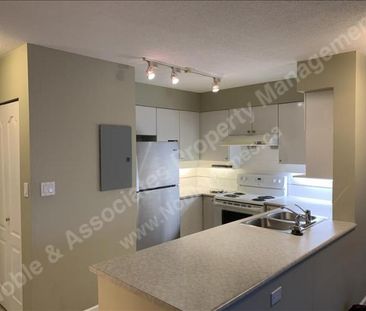 8171 Saba Road Unit 704 Richmond - Photo 5