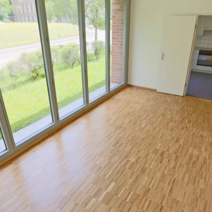 Naturnah wohnen am Birsufer: Helle 2.0-Zimmerwohnung in Arlesheim - Photo 1