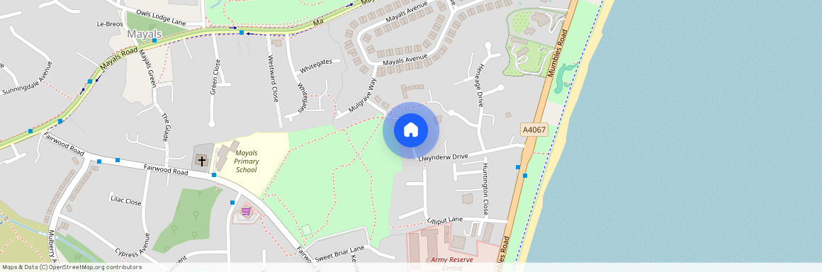 Llwynderw Drive, West Cross, SA3