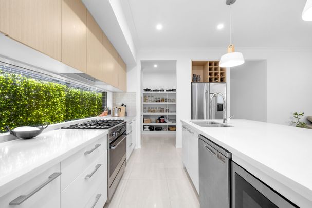 9 Gemini Street, Riverstone NSW 2765 - House For Rent | Domain - Photo 1