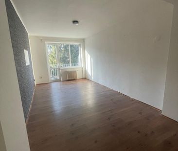 Pronájem bytu 2+1 55 m² - Photo 3