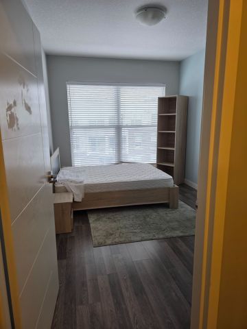 For Lease - 62 Balsam Street, Waterloo, Ontario - Photo 3