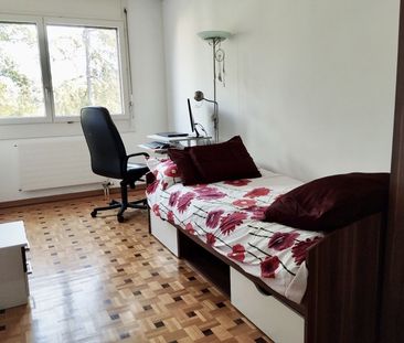 Superb Apartment for rent, Rue Giovanni-Gambini (Geneva, Switzerland) - Foto 1