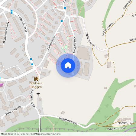 Haselstrasse 22, 9014 St. Gallen