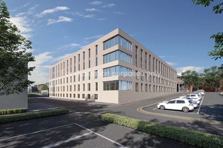 Large Standard Plus Studio - Photo 5