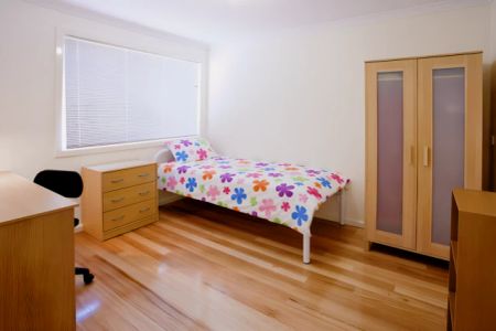 SH1 Small/Medium - Photo 2