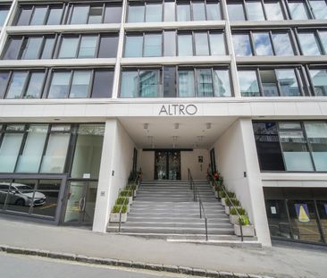 The Best in Altro - Photo 6