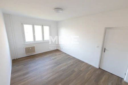 Pronájem bytu 2+1, 54 m - Fotografie 4