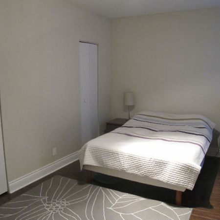 Montréal – Appartement 3 1/2 rénové à louer sur Queen-Mary - Photo 4