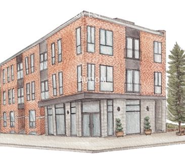 254 Rue Roy Est - 254 Roy Est - Photo 3