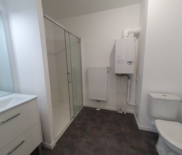 Location Appartement 48m² VALENCIENNES 59300 - Photo 6