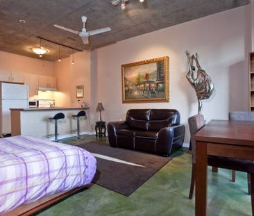 Available March 1st - Pet Friendly Furnished Studio @ 22E Cordova - Photo 3