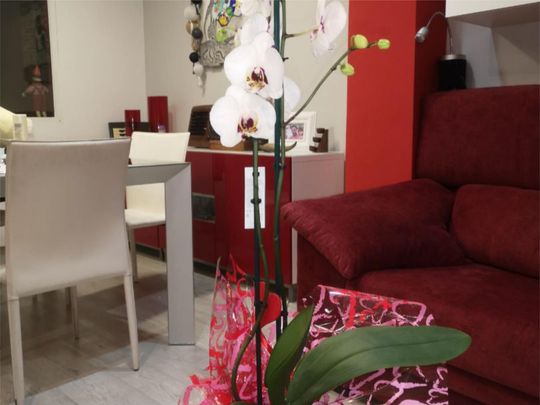 Ático de alquiler en Carrer Isidoro Antillón, 11b, Pere Garau - Photo 1