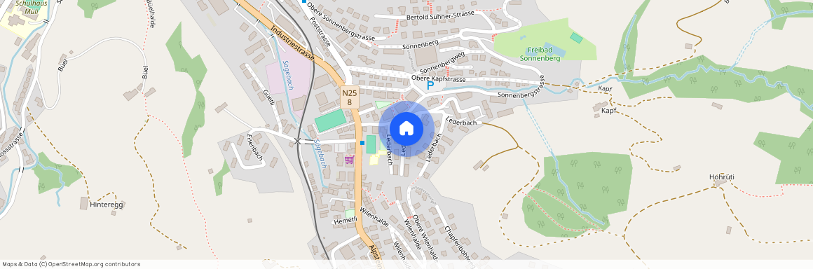 Lederbach 5, 9100, Herisau