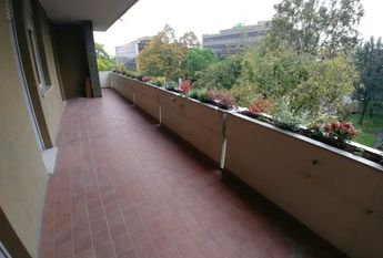 Via Luigi Pellizzo, Padova, Veneto 35128