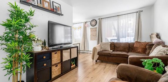 Appartement 4 ½ à louer Lévis juillet 2026 - Photo 2