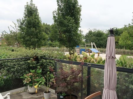 Gelijkvloerse verd. + tuin - Te huur - Foto 4