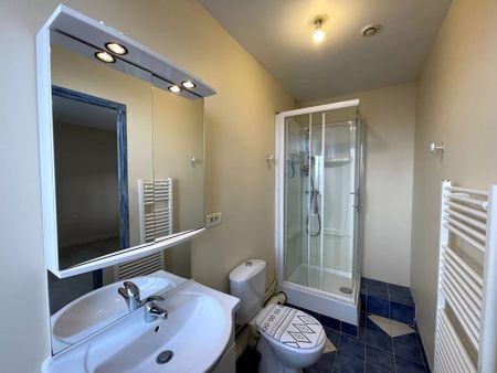 APPARTEMENT A LOUER - Photo 4