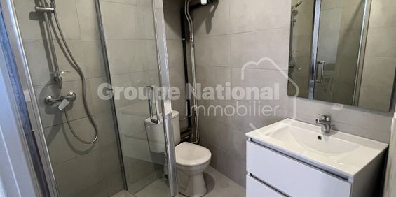 Location Appartement 1 pièce 26m² - Photo 3