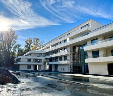 Location Appartement 1 pièce 31m² - Photo 5