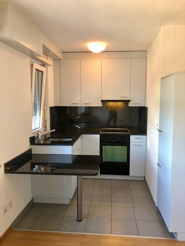 Ideale Wohnung für Singles und Pendler - Foto 4