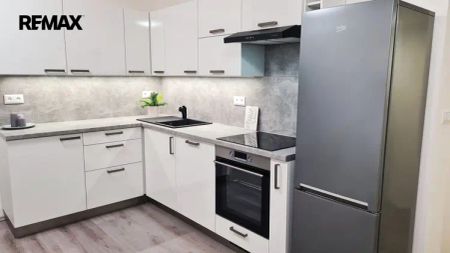 Pronájem ateliéru využitelného jako byt 1 + kk - Photo 3