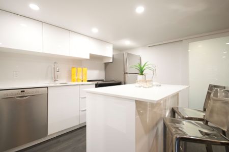 For Lease - 173 Carlton Street Unit# Lower 1, Toronto, Ontario - Photo 5