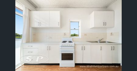 * North facing spacious living - Photo 5