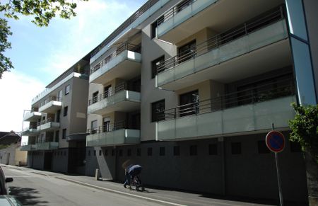 T3 Chaprais Besançon - Photo 4