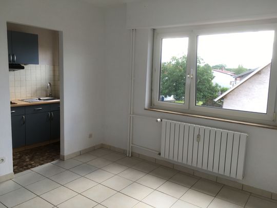 Location Appartement 1 pièce 22m² SARREGUEMINES 57200 - Photo 1