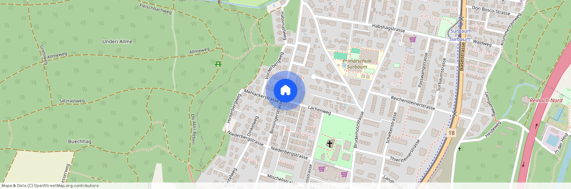 Binningerstrasse 60, 4153 Reinach BL