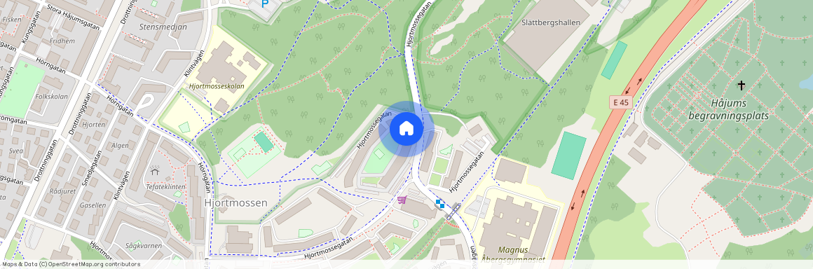 Hjortmossegatan 156, Trollhättan