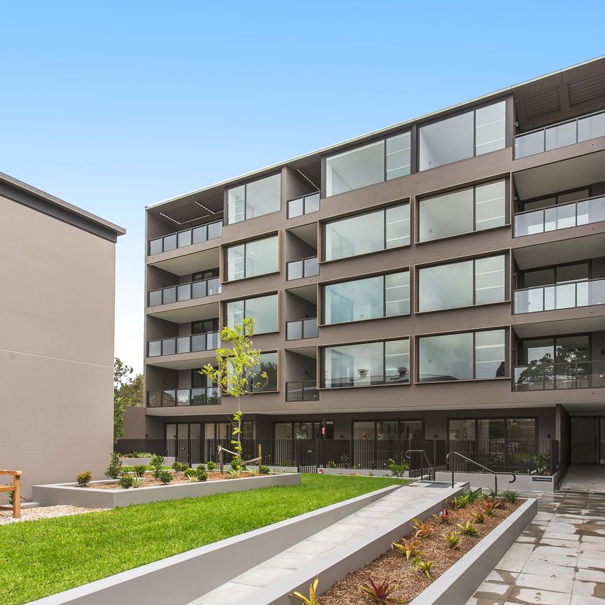 101/116 Belmont Road, Mosman NSW 2088 - Apartment For Rent | Domain - Photo 1