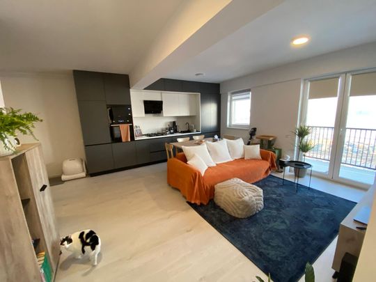 Inchiriere Apartament 2 Camere Pet friendly talie mica Soho Residence - Photo 1