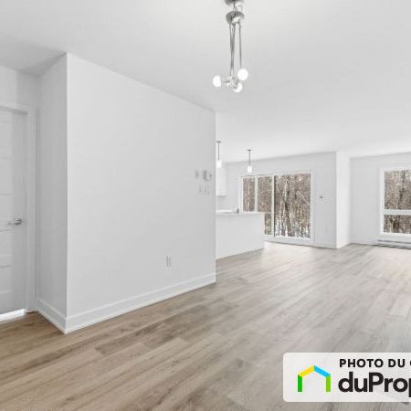 1-30, rue Larabie, Gatineau (Gatineau) à louer - Photo 1