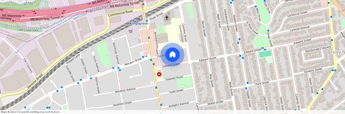 14 The Avenue, NSW 2208, Kingsgrove