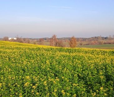 Sezamkowa, Dębogórze, pow. pucki - Фото 3