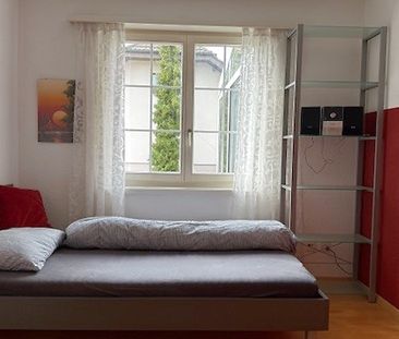 4½ Zimmer-Wohnung in St. Erhard (LU), möbliert, auf Zeit - Foto 3