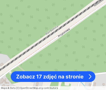 Do wynajęcia dom 350 m² na działce 1600 m² - Zdjęcie 1