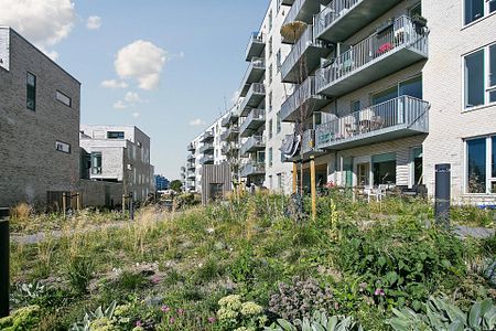 3 værelses på Islands Brygge - Foto 3